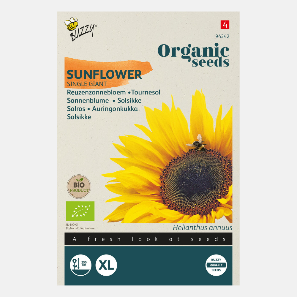 Sunflower 'Giganteus' BIO