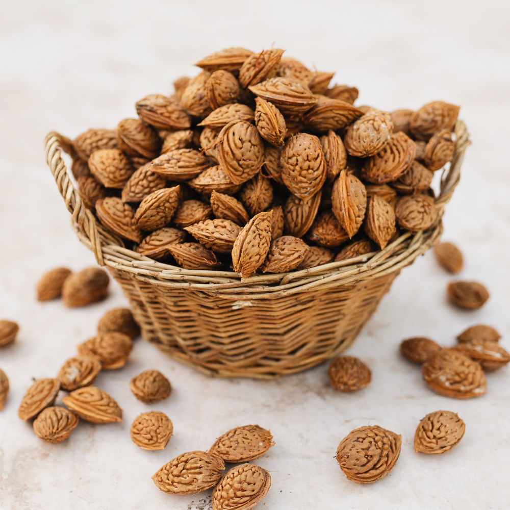 Amandelboom 'Robijn' - Blote wortel