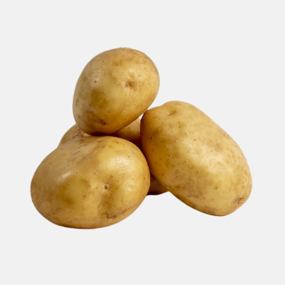 Plant BIO Pomme de Terre Annabelle 28/32 précoce - Culture compacte très précoce (choisir le poids)