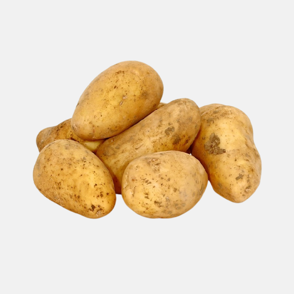 Seed potato 'Annabelle' BIO