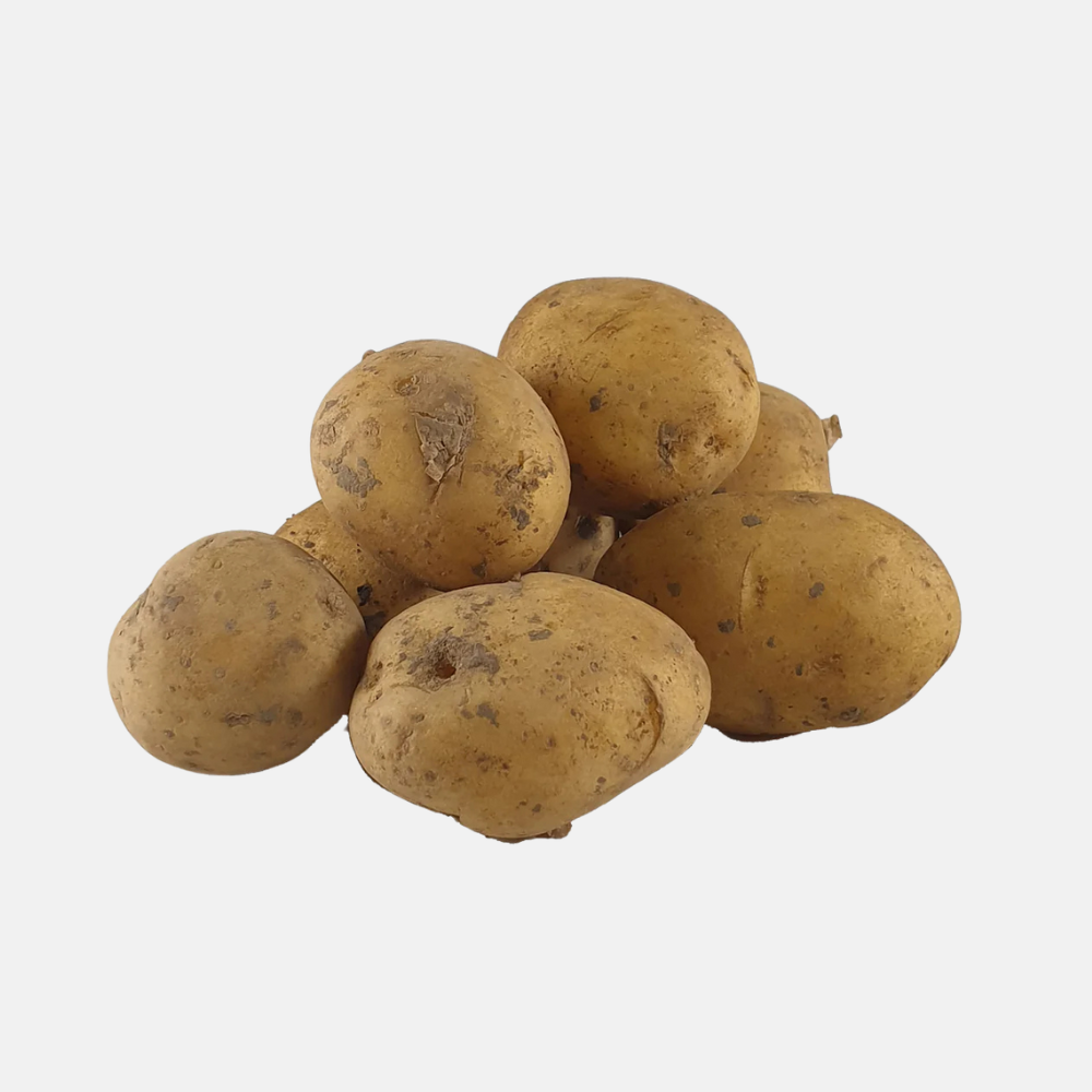 Seed potato 'Vitabella' BIO