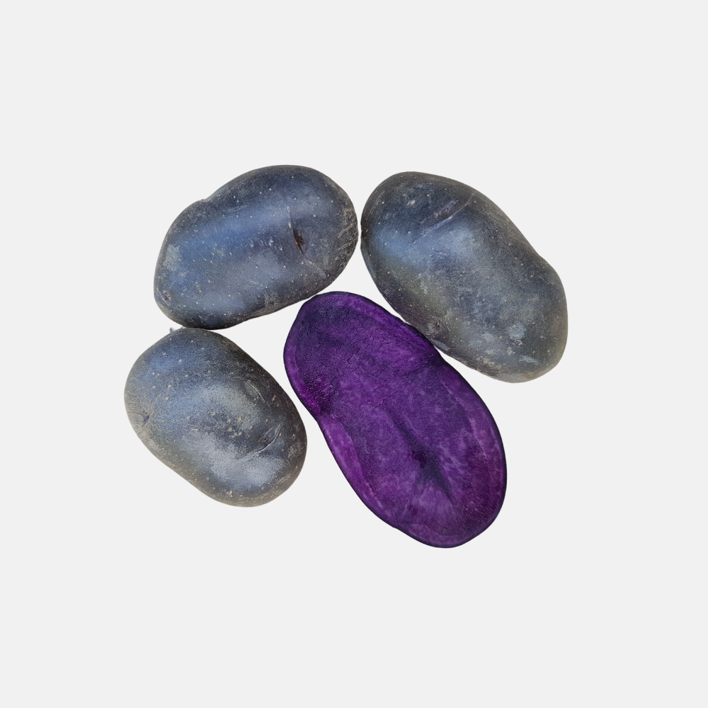 Plant BIO Pomme de Terre Annabelle 28/32 précoce - Culture compacte très précoce (choisir le poids)