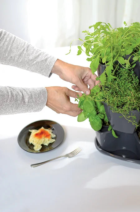 tour à herbes pot à herbes Coubi avec réservoir d'eau intégré