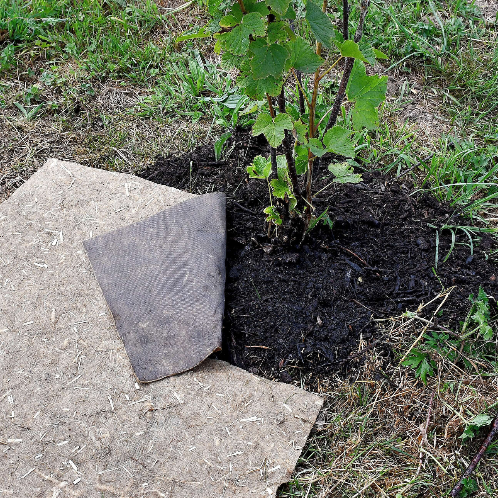 Toile de paillage/toile de racine de chanvre 0,56 m de large (longueur variable) BIO