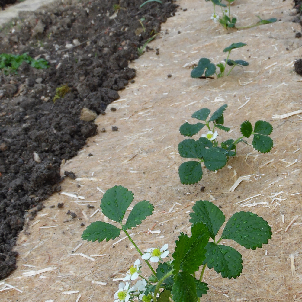 Toile de paillage/toile de racine de chanvre 0,56 m de large (longueur variable) BIO