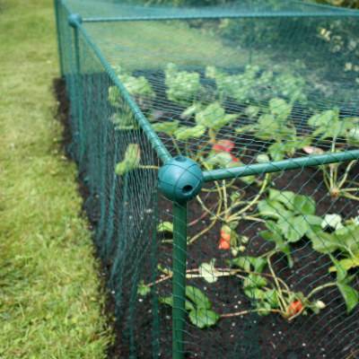 Cage 62.5 cm high 1 m wide with coarse insect mesh (against butterflies, onion, cabbage and carrot flies) (Choose length)