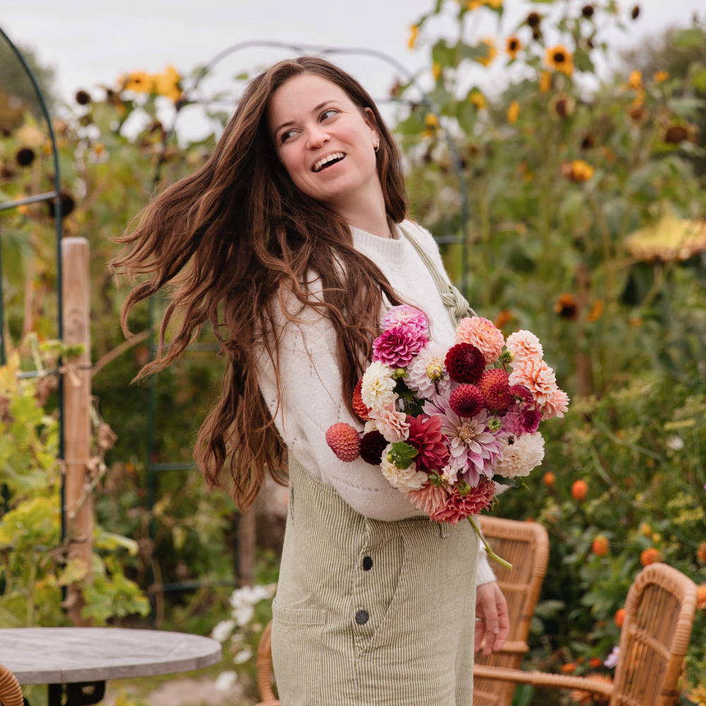 Dahlia package XXXXL package (with all our 56 varieties)