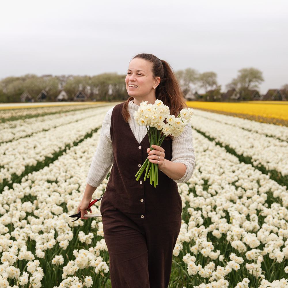 Narcissus 'Bridal Crown' BIO
