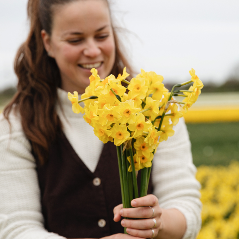 Narcissus 'Martinette' BIO