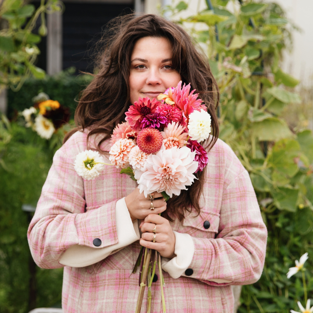 Coffret de dahlias « Les 11 préférés de Nina »