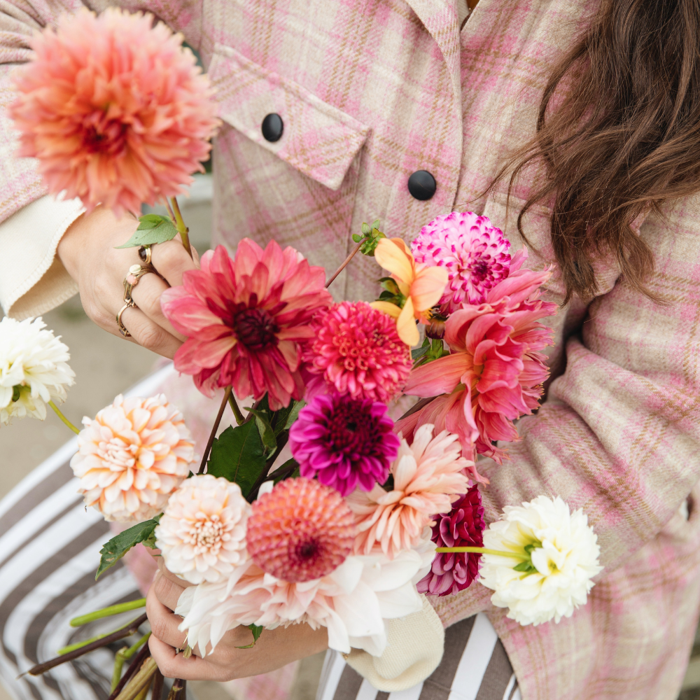 Coffret de dahlias « Les 11 préférés de Nina »