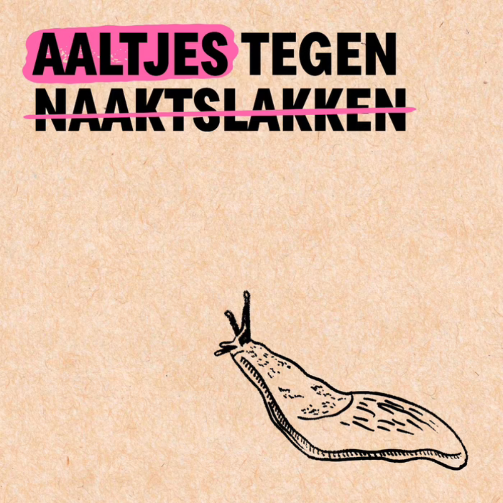 Combat slugs with No-slug