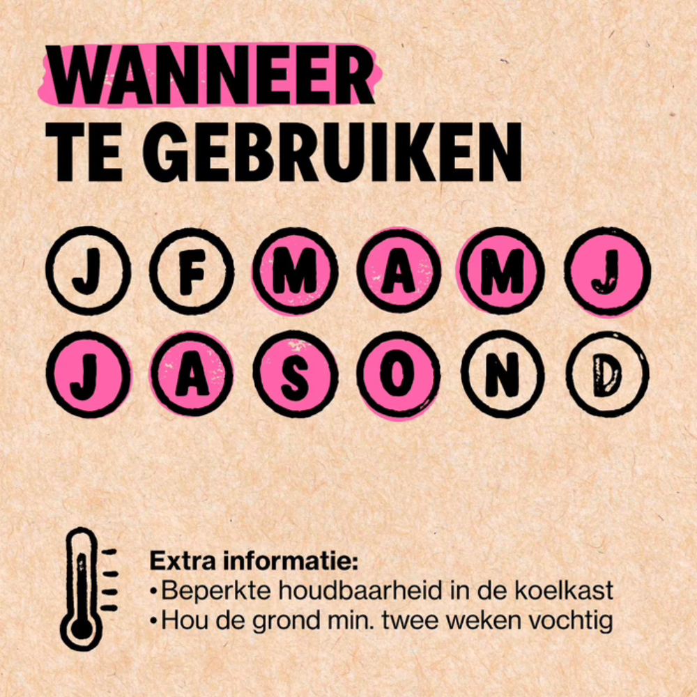 Combat slugs with No-slug