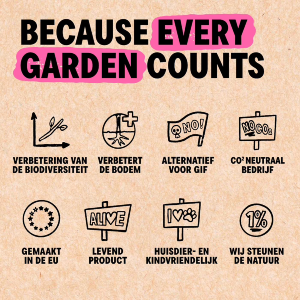 Combat slugs with No-slug