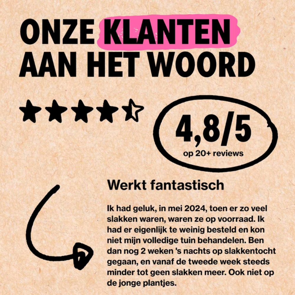 Combat slugs with No-slug