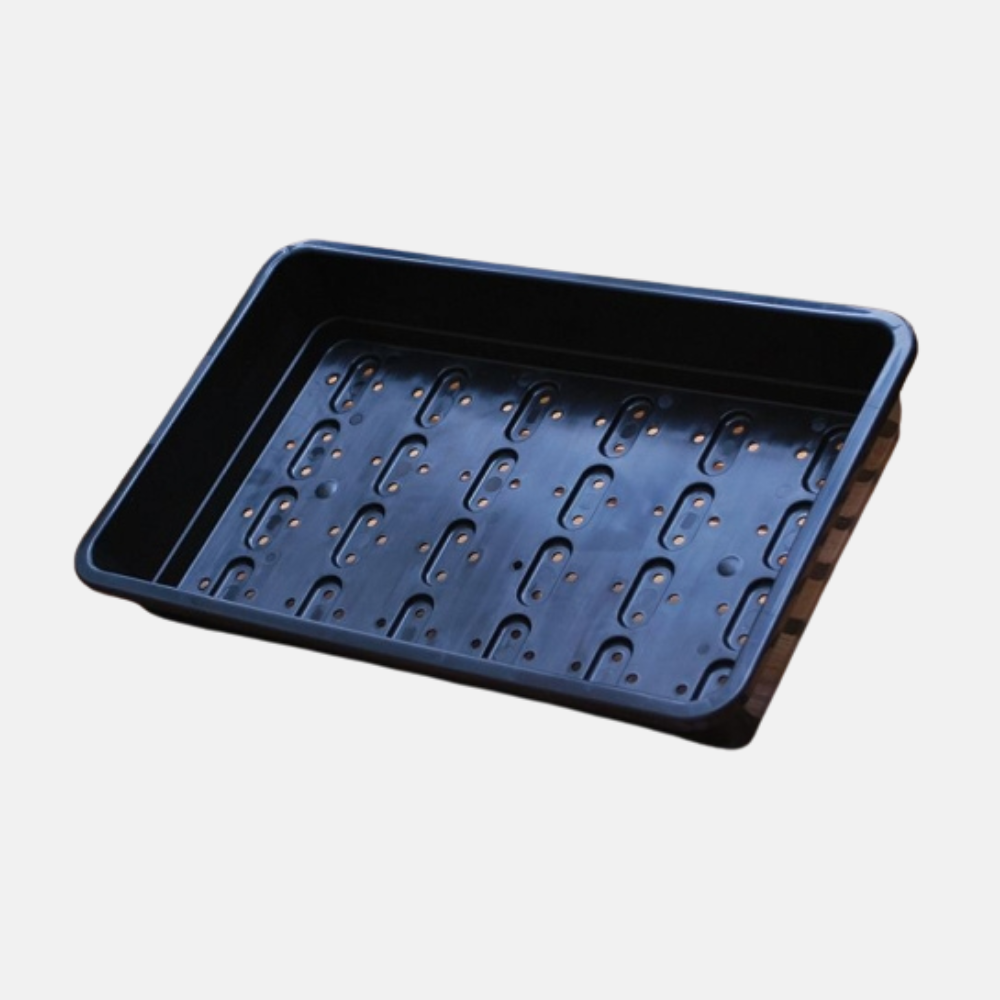 Plateau à semis/base en plastique dur 37x23x6 cm - avec trous