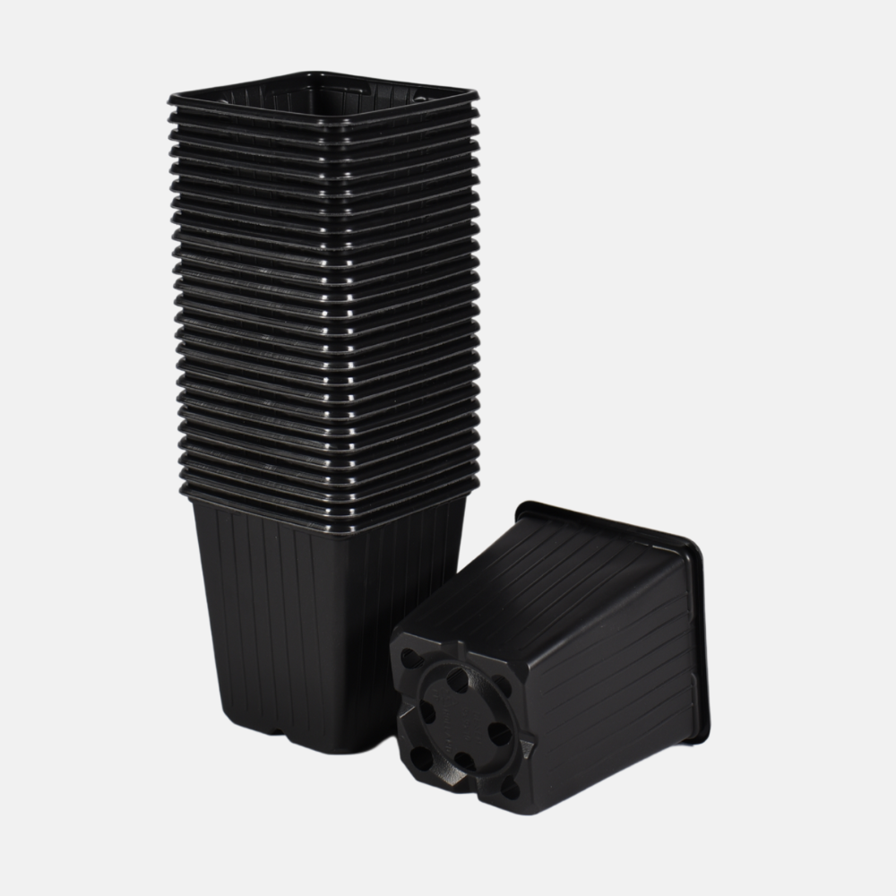 Pots P9 en plastique souple (choisir la quantité)