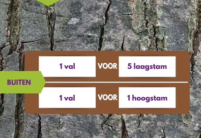 Pheromone Trap Plum Moth (Grapholita funebrana)
