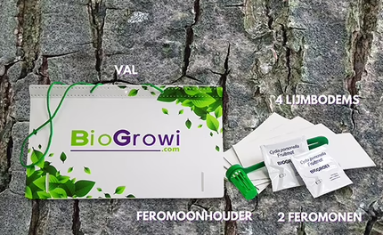 Pheromone Trap Plum Moth (Grapholita funebrana)