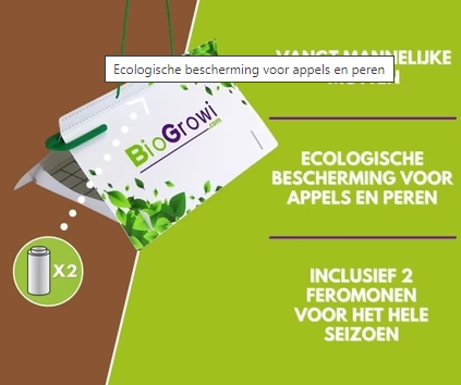 Pheromone trap Codling moth | Codling moth trap (Cydia pomonella)
