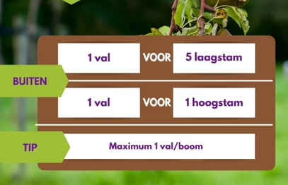 Pheromone trap Codling moth | Codling moth trap (Cydia pomonella)