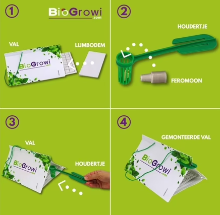 Pheromone trap Codling moth | Codling moth trap (Cydia pomonella)