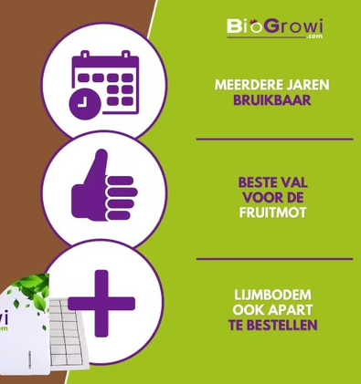 Pheromone trap Codling moth | Codling moth trap (Cydia pomonella)