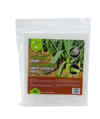 Pheromone trap Leek moth | Leek moth trap (Acrolepiopsis assectella)