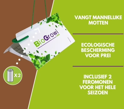 Pheromone trap Leek moth | Leek moth trap (Acrolepiopsis assectella)