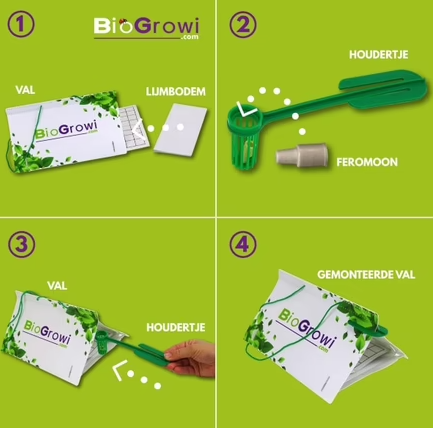 Pheromone trap Leek moth | Leek moth trap (Acrolepiopsis assectella)