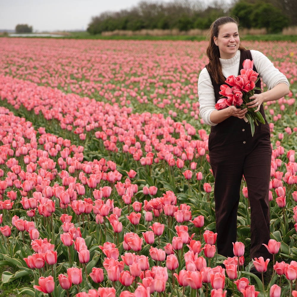 Tulip 'Design Impression' BIO