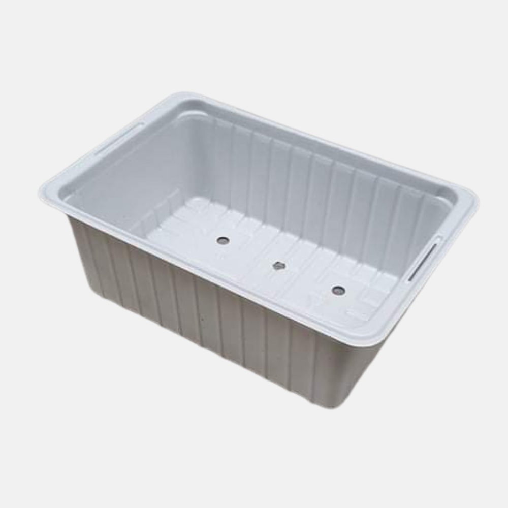 Petit bac à semis 14 x 10 x 5 cm