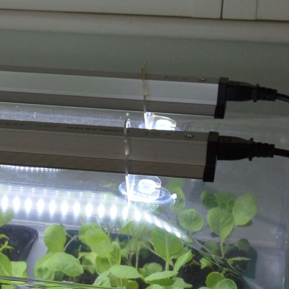 Lampe de culture LED 120 cm 6500 Kelvin - germination & culture de jeunes plantes