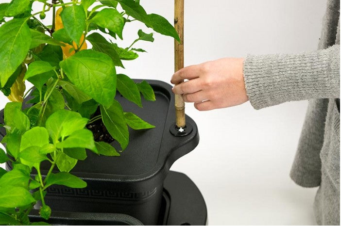 Kit de paillis et de support de poteau Quadgrow - Lot de 4