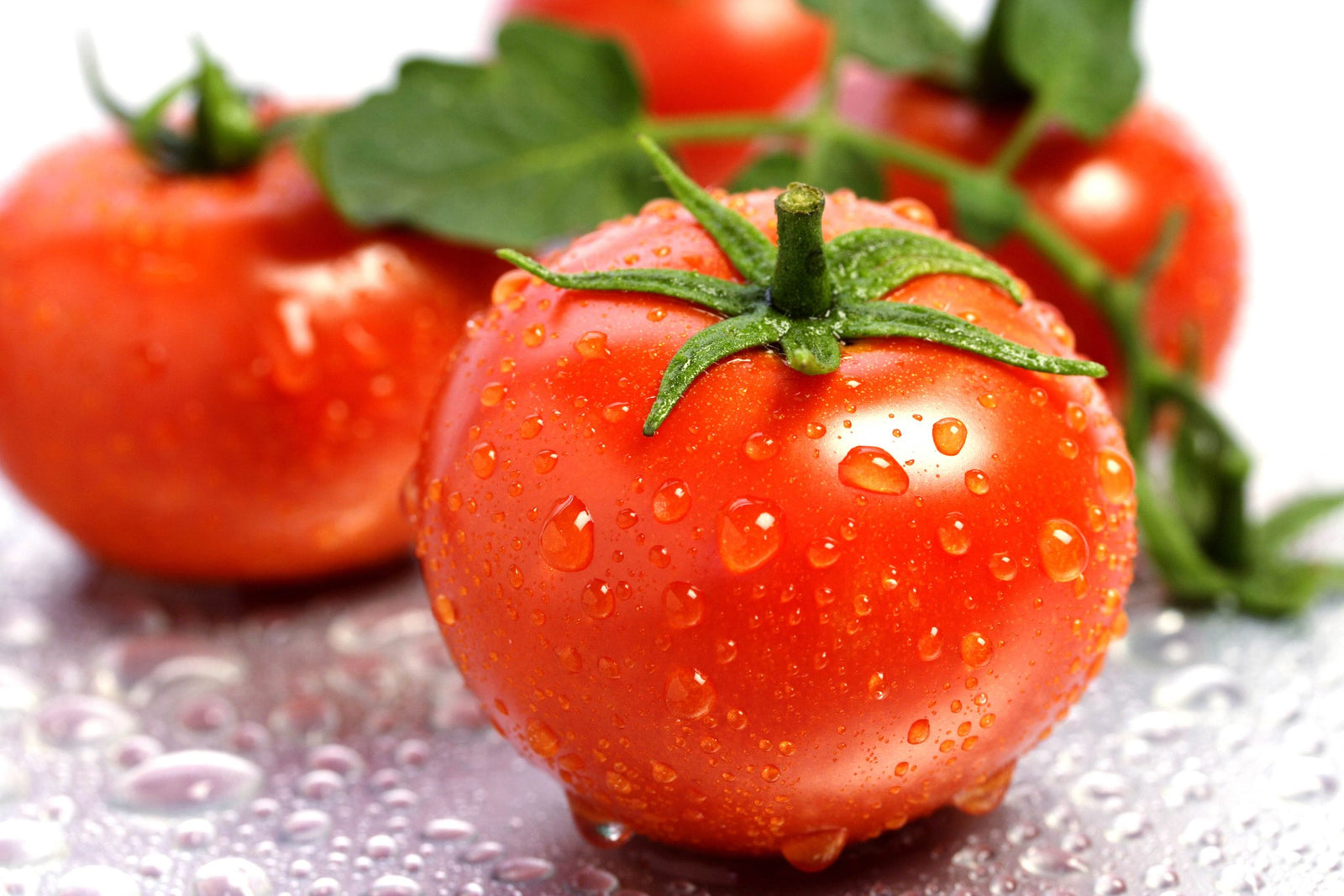 Tomaten kweken