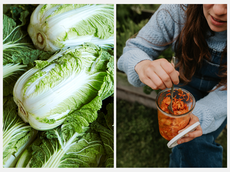 Kimchi maken: Simpel recept voor Koreaanse smaakexplosie