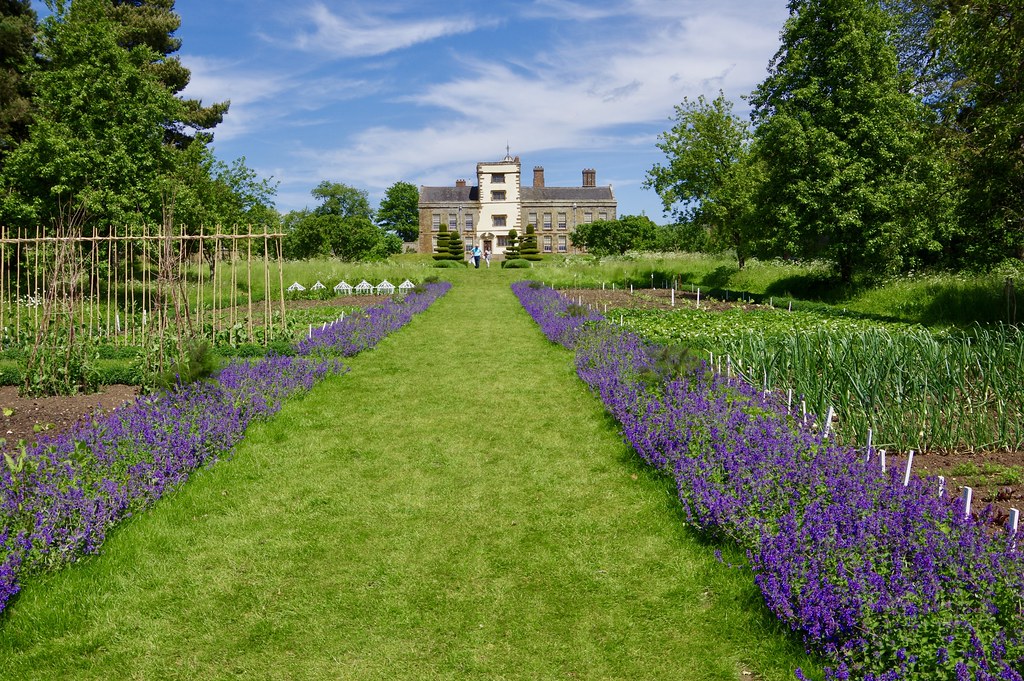 Lavendel stekken - Breng eenvoudig de Provence in huis