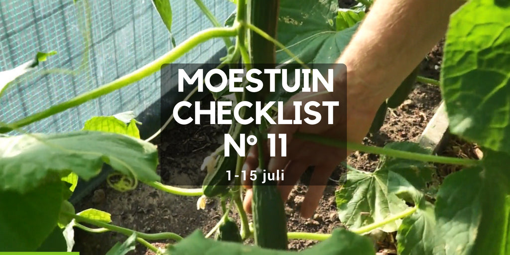 Moestuin juli