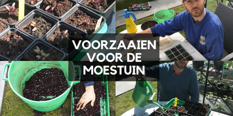 Voorzaaien voor de moestuin