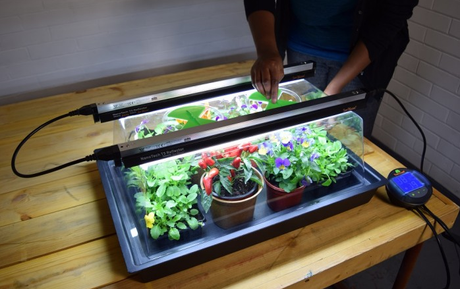 Moestuin propagator