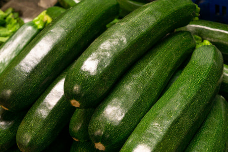 Courgette kweken van zaaien tot oogsten