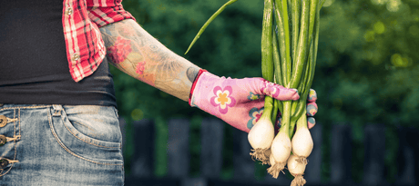 Stengelui zaaien - snelle startfiche