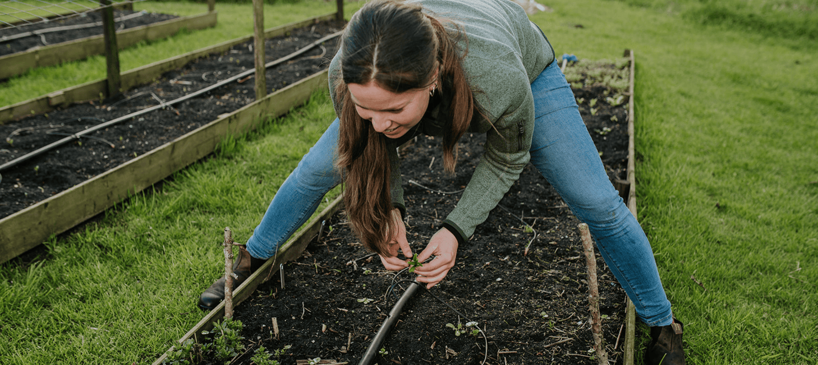 Mei zaaikalender Plukkers