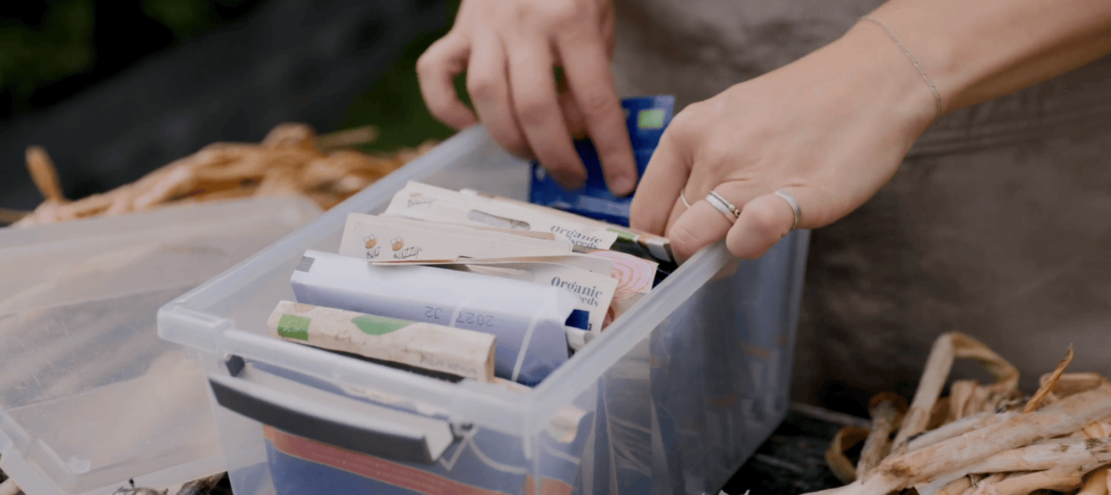 september zaaikalender Moestuinweetjes