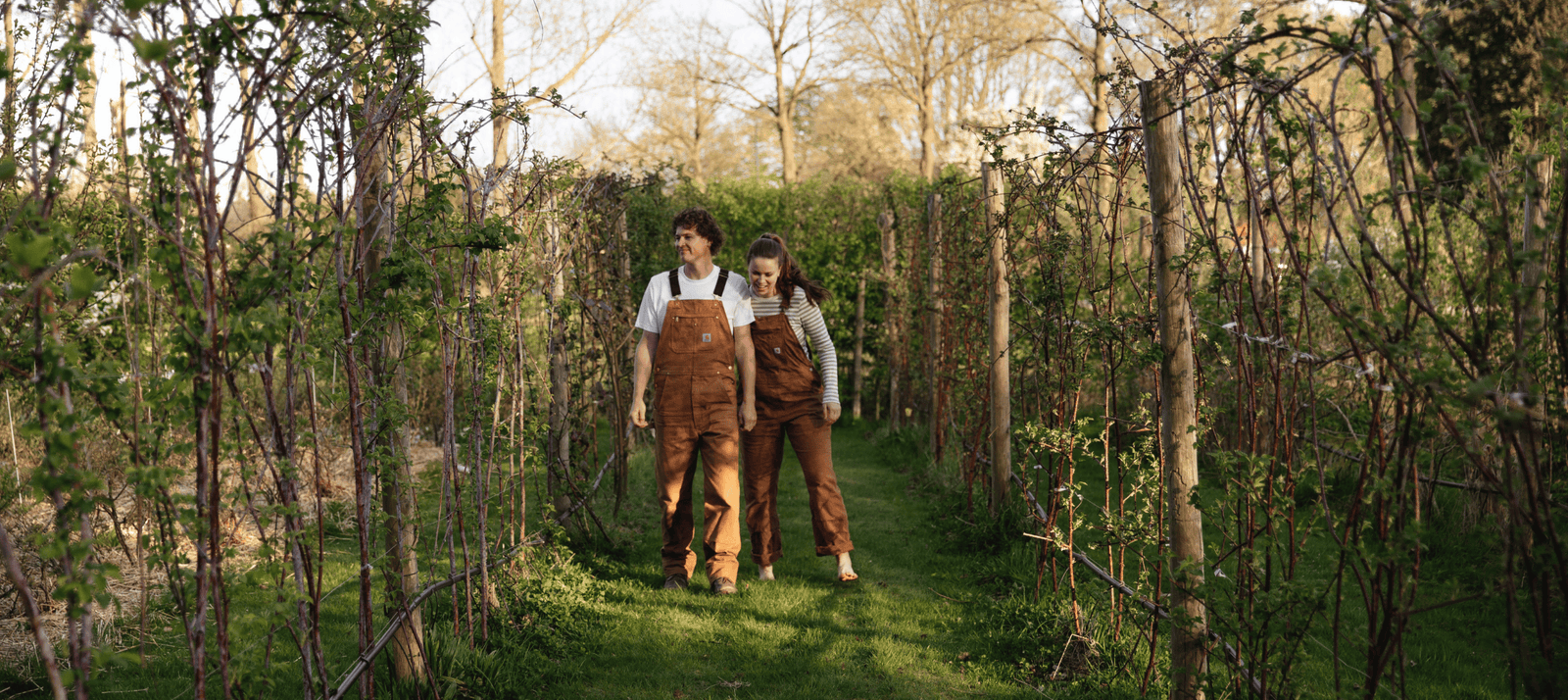Rijenteelt kleinfruit Ruud & Merel