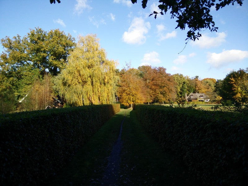 November in de moestuin