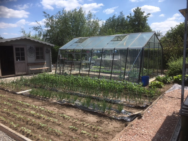ACD Kas in een moestuin