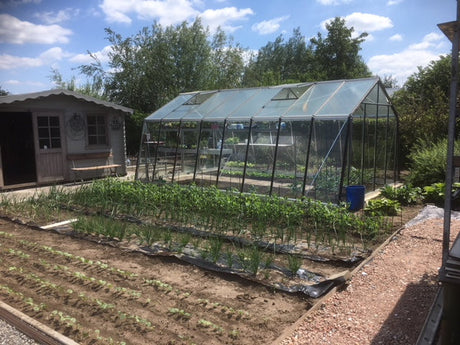 ACD Kas in een moestuin