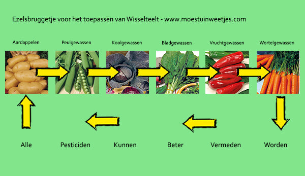 Geheugensteun voor wisselteelt