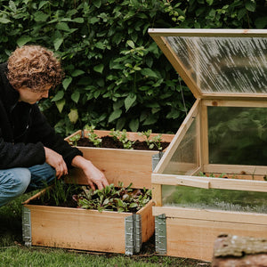 Zuchtboxen und Beete